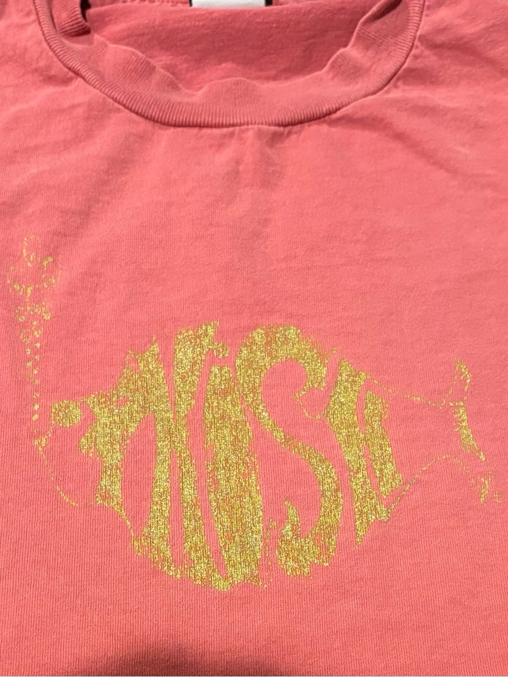 ⭕️⭕️Phish Vintage Tshirt Japan Tour 2000 Gold Sparkle Logo VGC size Small